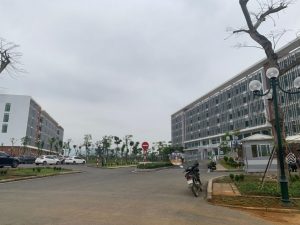 Bán gấp mảnh đất khu xã Đình Cao, Phù Cừ, Hưng Yên 117m2, MT 5m, 3,0 tỷ