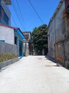 Bán nhanh 196m2 vuông Tại Gia Cốc, Quang Vinh, Ân Thi