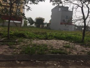 Bán đất liền kề 91m2 - 100m2 - 102m2 tại New City Phố Nối