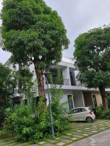 Chính chủ bán gấp biệt thự song lập đảo Ecopark, 360m2, xây 3 tầng, đối diện Clubhouse. Sổ đỏ CC