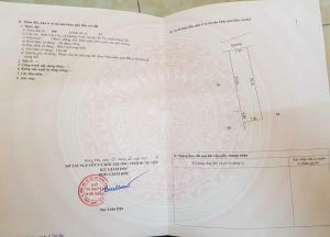 Bán lô đất 196m2 giá rẻ tại Quang Vinh, Ân Thi, Hưng Yên