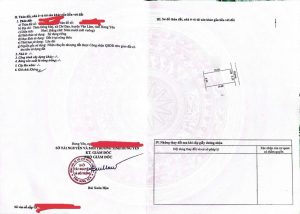 Bán gấp 50m2 đất xã Chỉ Đạo Văn Lâm Hưng Yên, tài chính công nhân chỉ hơn 800tr