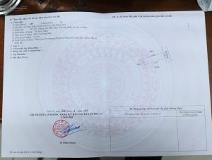 Chính chủ cần bán đất đấu giá Tống Trân, Phù Cừ, Hưng Yên. Nơi có nguồn khoáng nóng