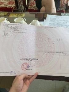 Bán lô 99m2 MT 6m siêu đẹp giá tốt đầu tư tại khu giãn dân Thuỵ Lôi