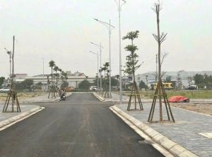 Siêu phẩm lô góc đấu giá Yên Hoà - Yên Mỹ, giáp đường 379 gần Vành Đai 4 và chợ đầu mối Sông Hồng