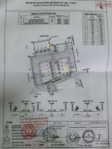Chính thức ra hàng lô 162m² mặt tiền 12m tại Đồng Tỉnh, giá rẻ nhất khu