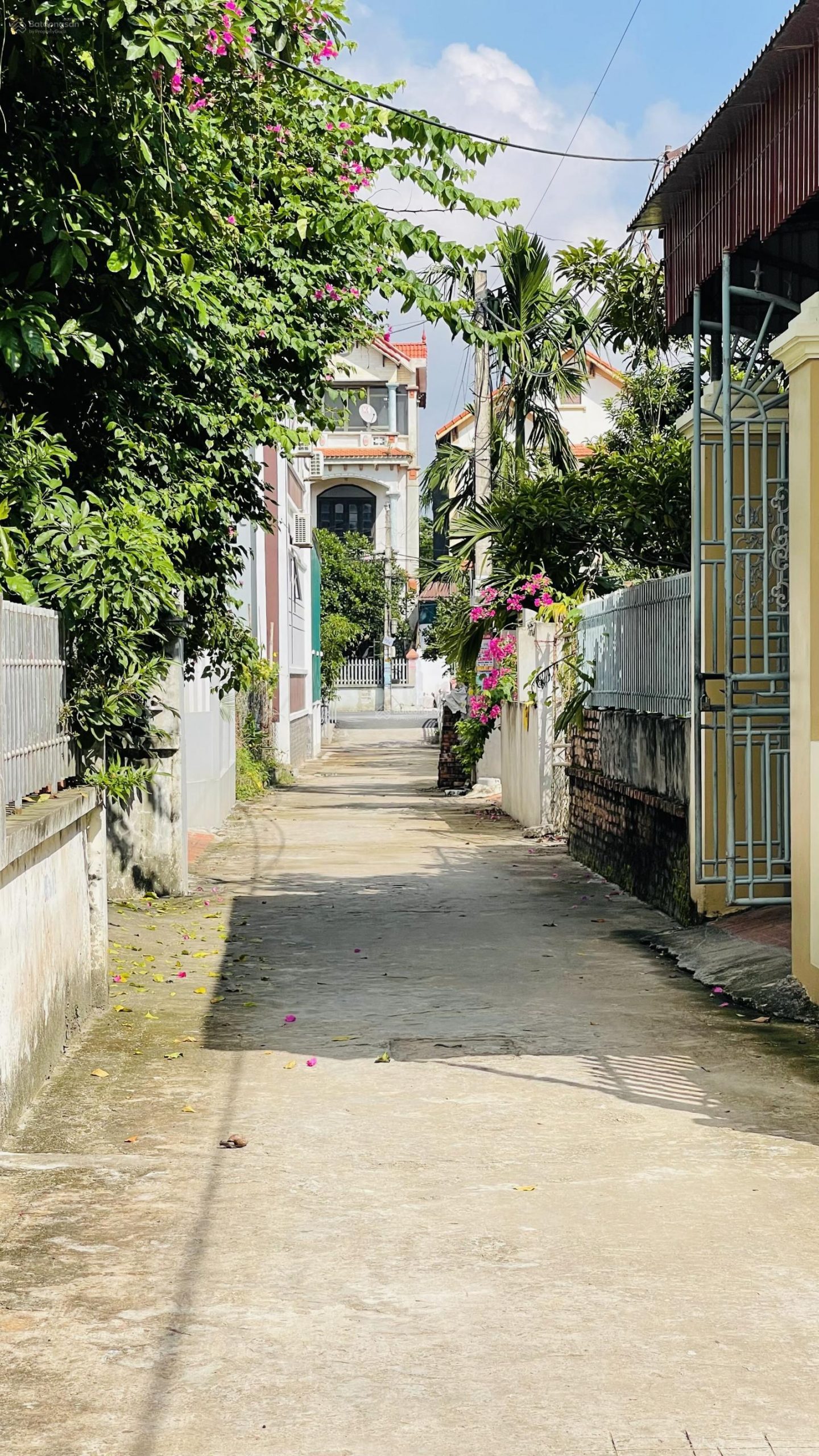 full thổ cư mặt tiền 11,9m đường ôtô thông vị trí trung tâm xã Liên Nghĩa – Văn Giang