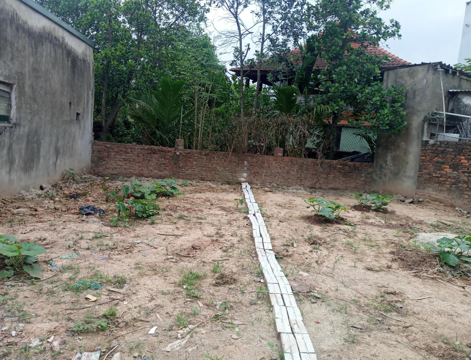 Bán 97m2 đất Tân Quang Văn Lâm sát KCN cách Vin Gia Lâm 500m