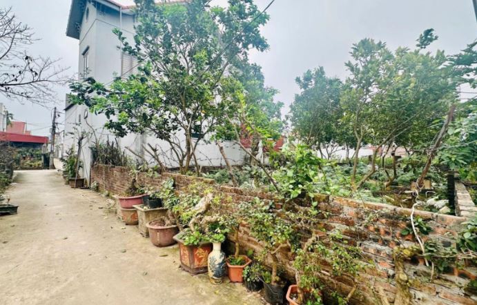 Tài chính 2tỷ1 sở hữu ngay mảnh đất tại Vĩnh Tuy- Liên Nghĩa- Văn Giang giáp đt 379 và cụm công ty