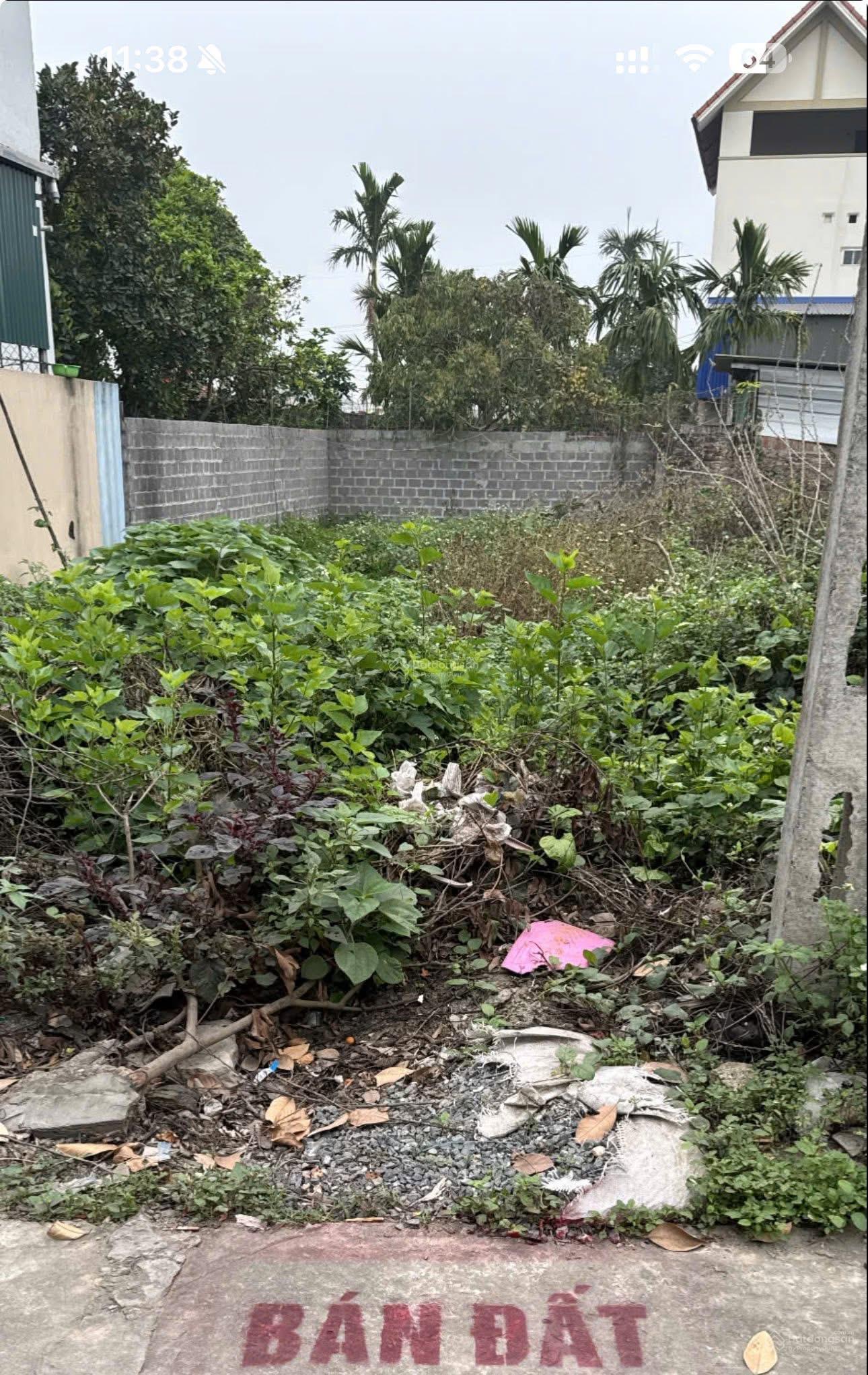 Cần bán 137,4 m² đất  (bao sổ) chính chủ 21tr/m2 tại Đường 379, Xã Tân Dân, Khoái Châu, Hưng Yên