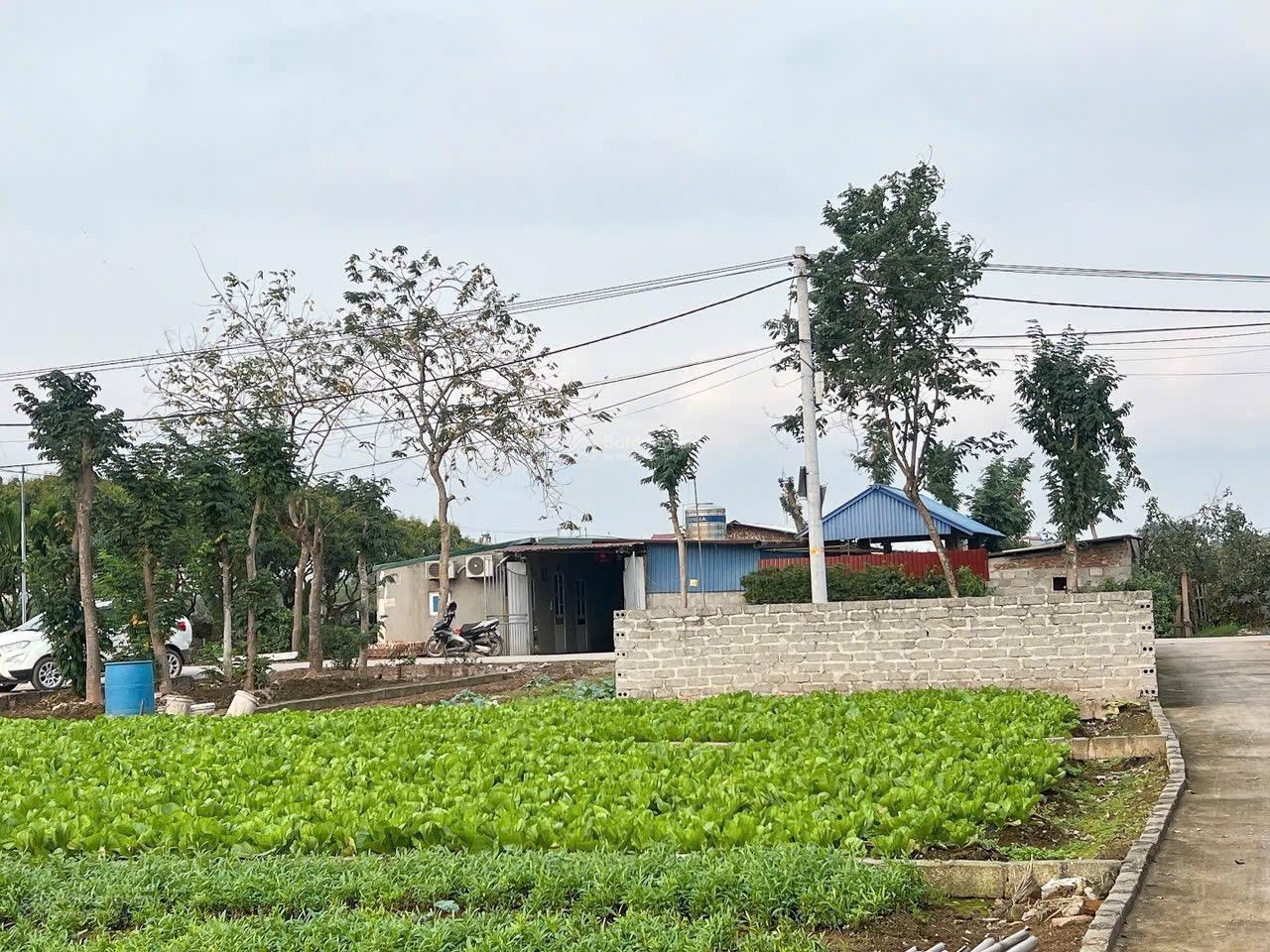 Bán đất 88m2 Siêu Đẹp Đông Tảo – Khoái Châu Sát chợ đầu mối chỉ với 2tỷ 332triệu