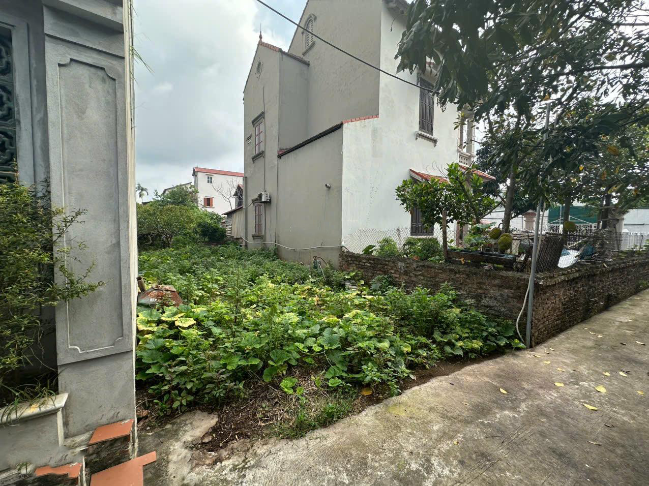 Bán Đất Đan Kim, 2,8 tỷ, 76m2, mặt tiền 4,8m, ngõ 2m, pháp lý đầy đủ, ô tô đỗ cách 10m.