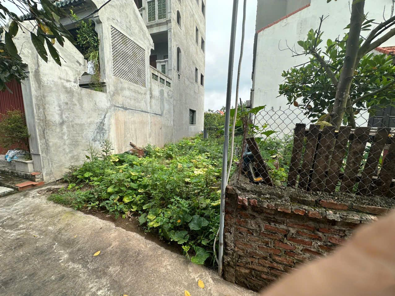 Bán Đất Đan Kim, 2,8 tỷ, 76m2, mặt tiền 4,8m, ngõ 2m, pháp lý đầy đủ, ô tô đỗ cách 10m.
