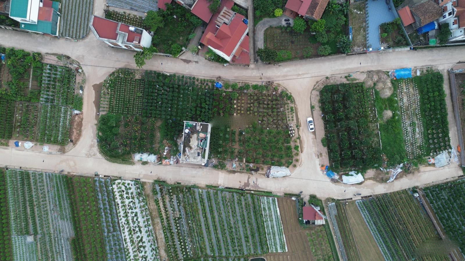 Bán đất đấu giá Hoàng Trạch, Mễ Sở ngay gần vành đai 4