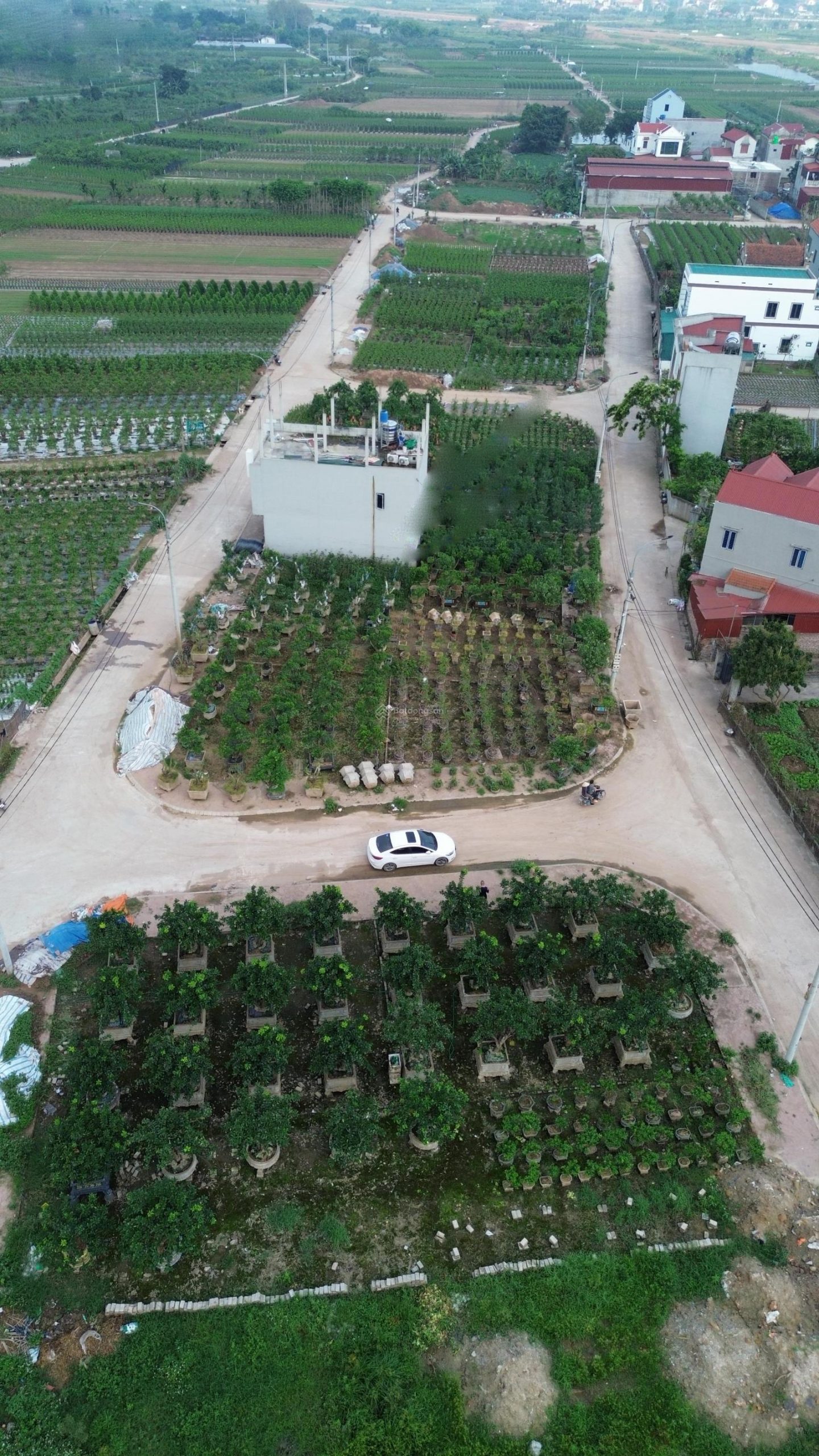 Bán đất đấu giá Hoàng Trạch, Mễ Sở ngay gần vành đai 4