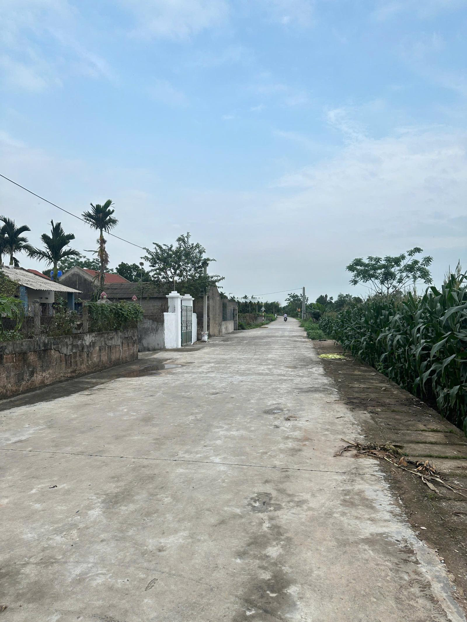 Bán 373.1m2 đất mặt tiền 20m tách thửa đẹp. Đất Tống Trân, Phù Cừ, Hưng Yên